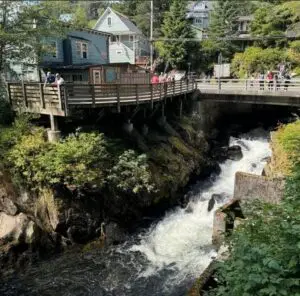 Salmon Ladder